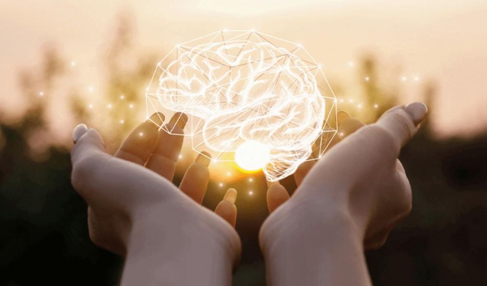 Estudo mostra que a qualidade de vida de pastores, normalmente não é assistida