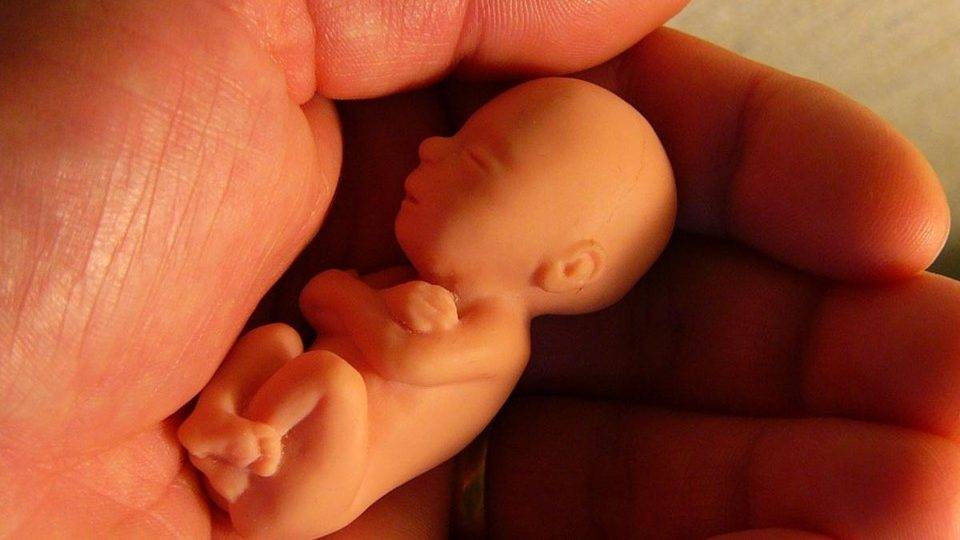 Inglaterra e País de Gales têm mais de 123.000 abortos em apenas seis meses 