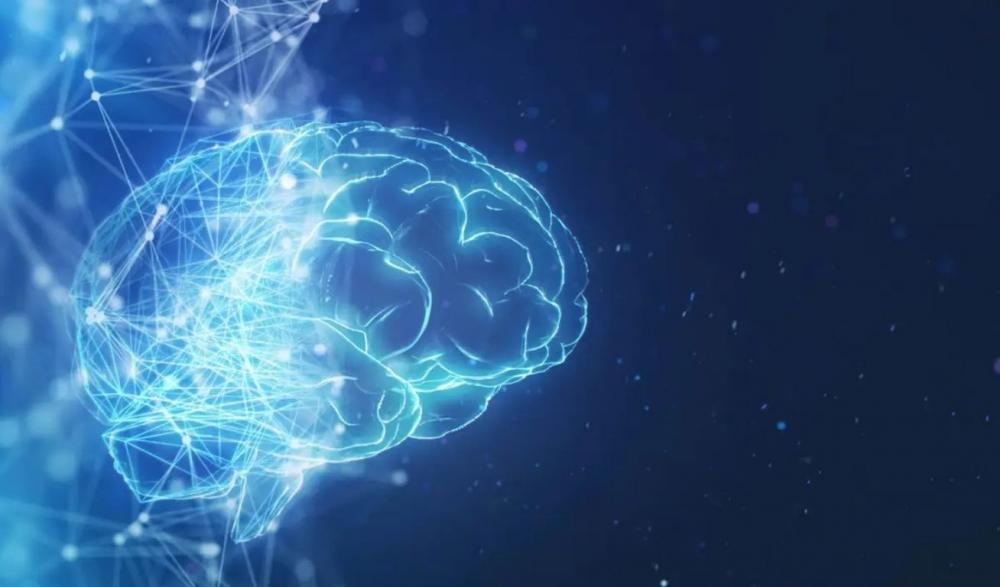 Entenda um pouco do: 