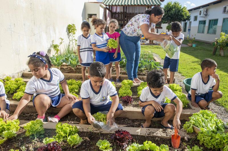 Cultivo de horta no Cmei de Taquaruçu estimula as crianças sobre alimentação saudável