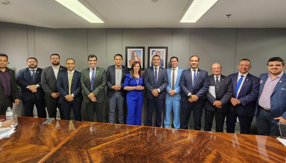 Governo do Tocantins e parlamentares federais definem prioridades para destinação de recursos no orçamento de 2024