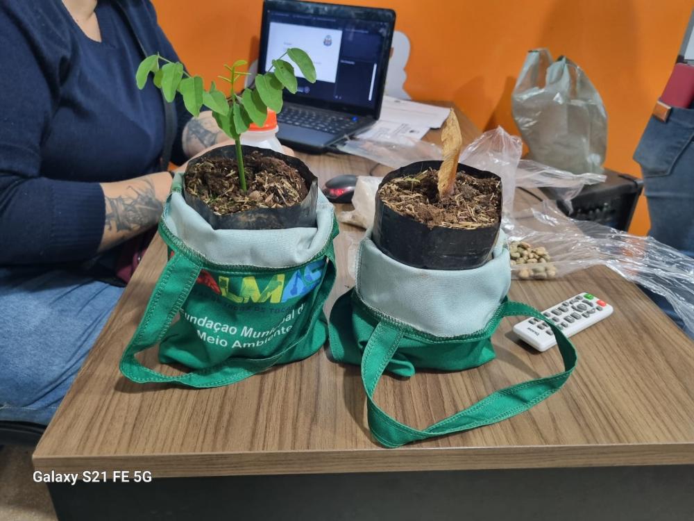 Escola Beatriz Rodrigues promove dia de sensibilização ambiental com alunos