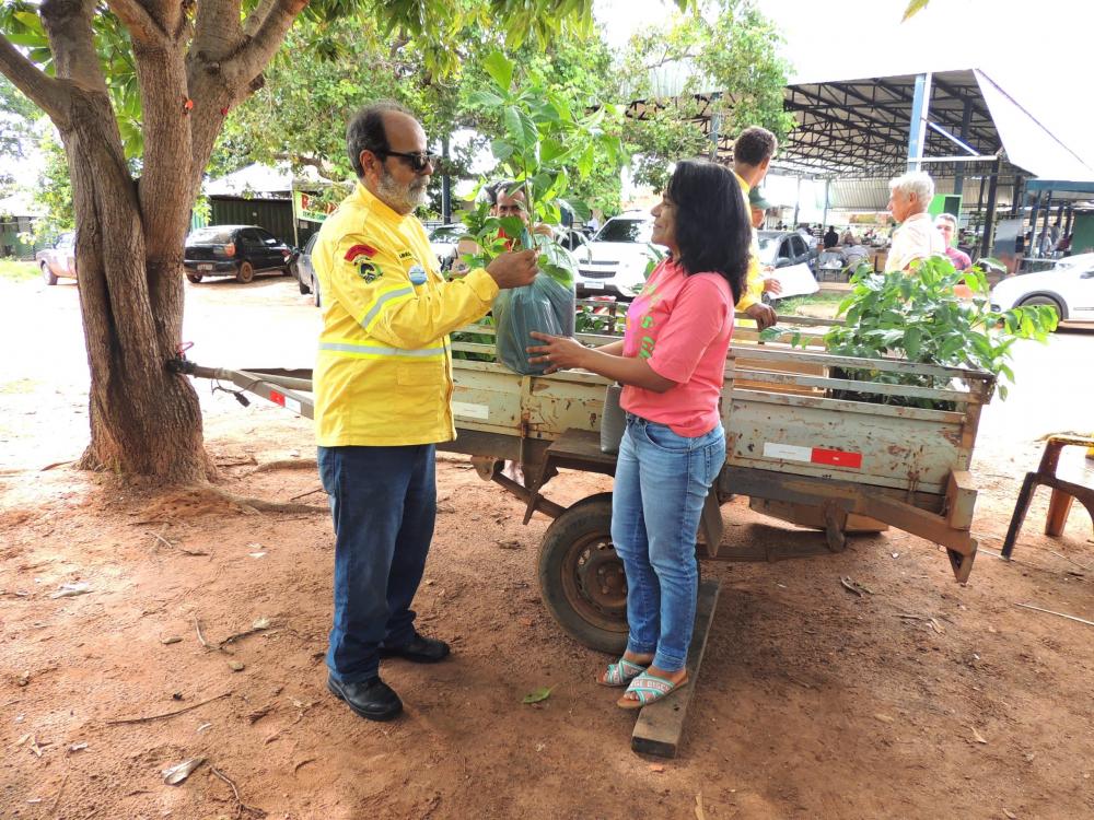 Fim de semana em Luzimangues, Porto Nacional, foi marcado pela distribuição de mudas nativas do Cerrado pela APA Lago de Palmas 
