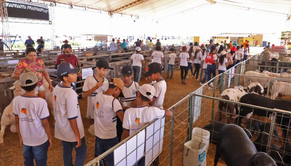 Governador Wanderlei Barbosa abre oficialmente a Agrotins 2024 nesta quarta-feira, 15