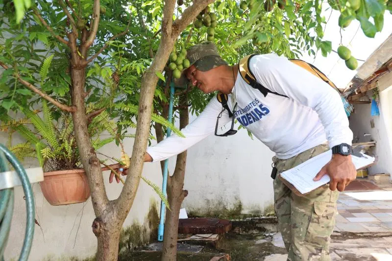Saúde registra queda no número de casos de dengue nas últimas quatro semanas