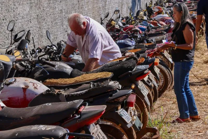 Carros, motos e sucatas estão disponíveis para visitação