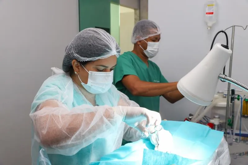 Agendamento de castração para mês de janeiro começa no dia 26 de dezembro