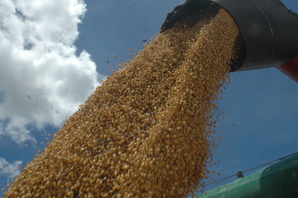 Levantamento prevê aumento na safra de soja e produção no TO pode passar de 4 milhões de toneladas em 2023