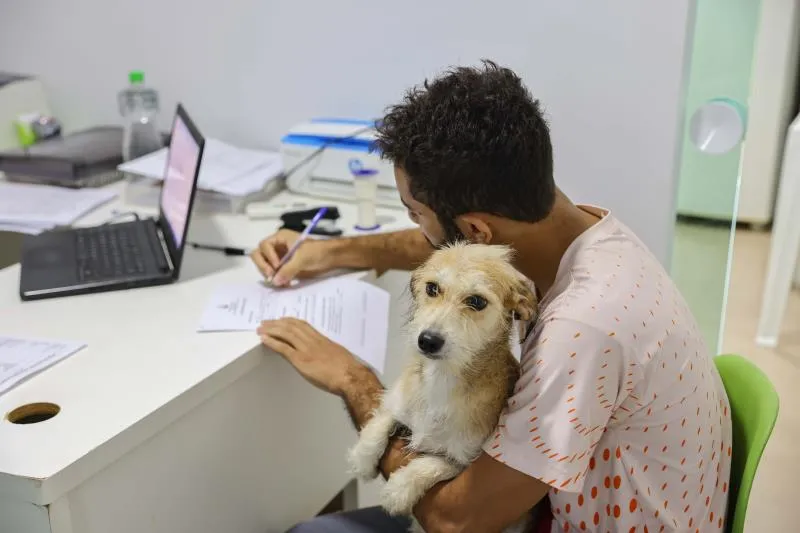 Saúde de Palmas realiza as primeiras castrações de cães e gatos de 2025