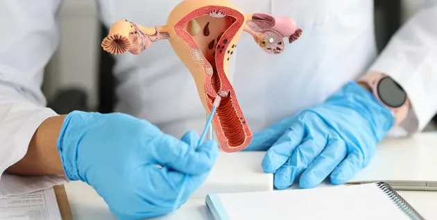 No Março Lilás, SES-TO alerta para a prevenção do câncer do colo do útero