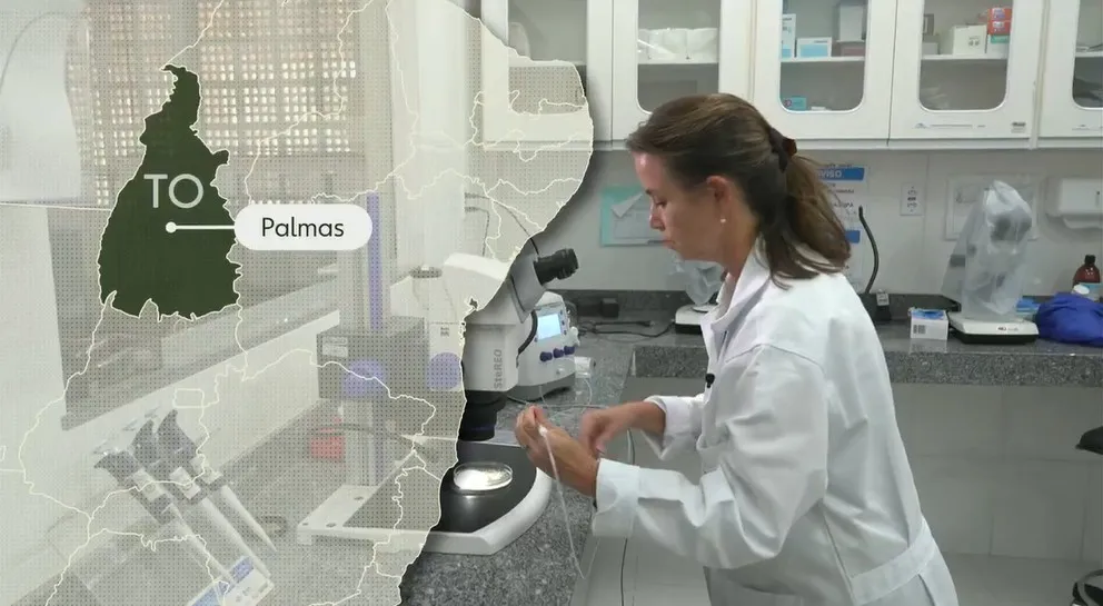 Globo Rural destaca programa genético da Embrapa no Tocantins apoiado pelo senador Eduardo Gomes