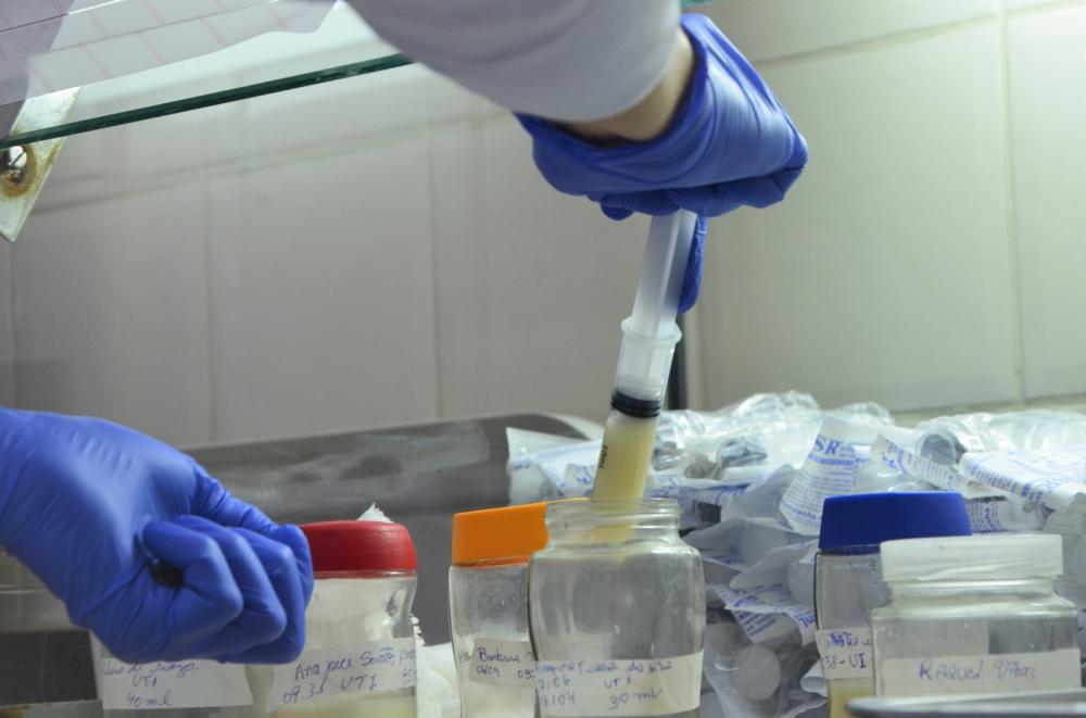 Doações de leite materno ajudam a salvar bebês internados em hospitais do Tocantins